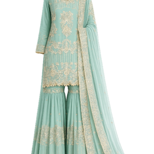 Timeless Sky Blue Occasion Wear Ensemble with Graceful Detailing